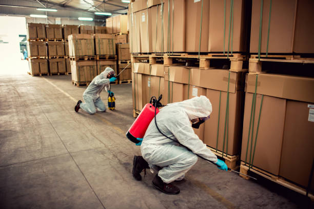 Best Bed Bug Extermination  in Lake Fenton, MI