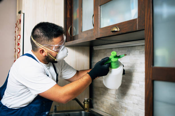 Best Flea Control Services  in Lake Fenton, MI