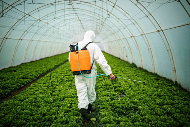 Best Pest Control Near Me  in Lake Fenton, MI