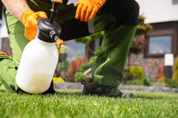 Best Ant Control Services  in Lake Fenton, MI