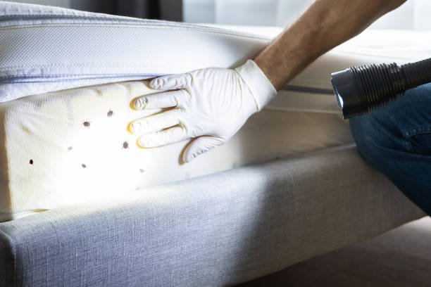 Best Pest Inspection Near Me  in Lake Fenton, MI