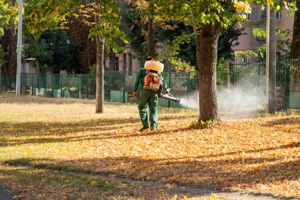 Best Cockroach Control Services  in Lake Fenton, MI