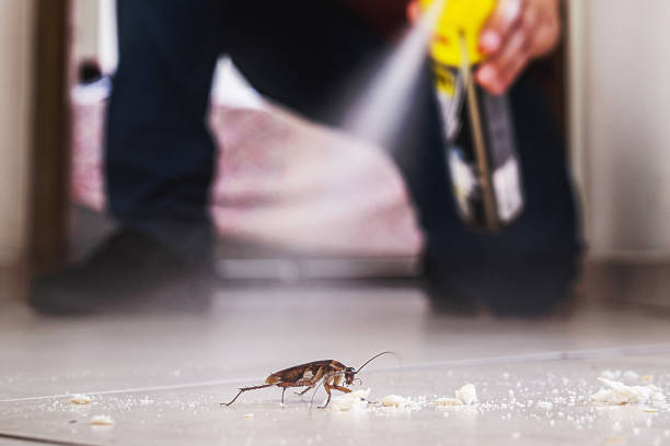 Best Wasp Removal Services  in Lake Fenton, MI